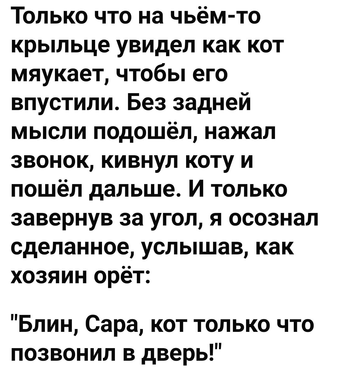 Только что на чьём то крыльце увидел как кот мяукает чтобы его впустили Без задней мысли подошёл нажал звонок кивнул коту и пошёл дальше И только завернув за угол я осознал сделанное услышав как хозяин орёт Блин Сара кот только что позвонил в дверь