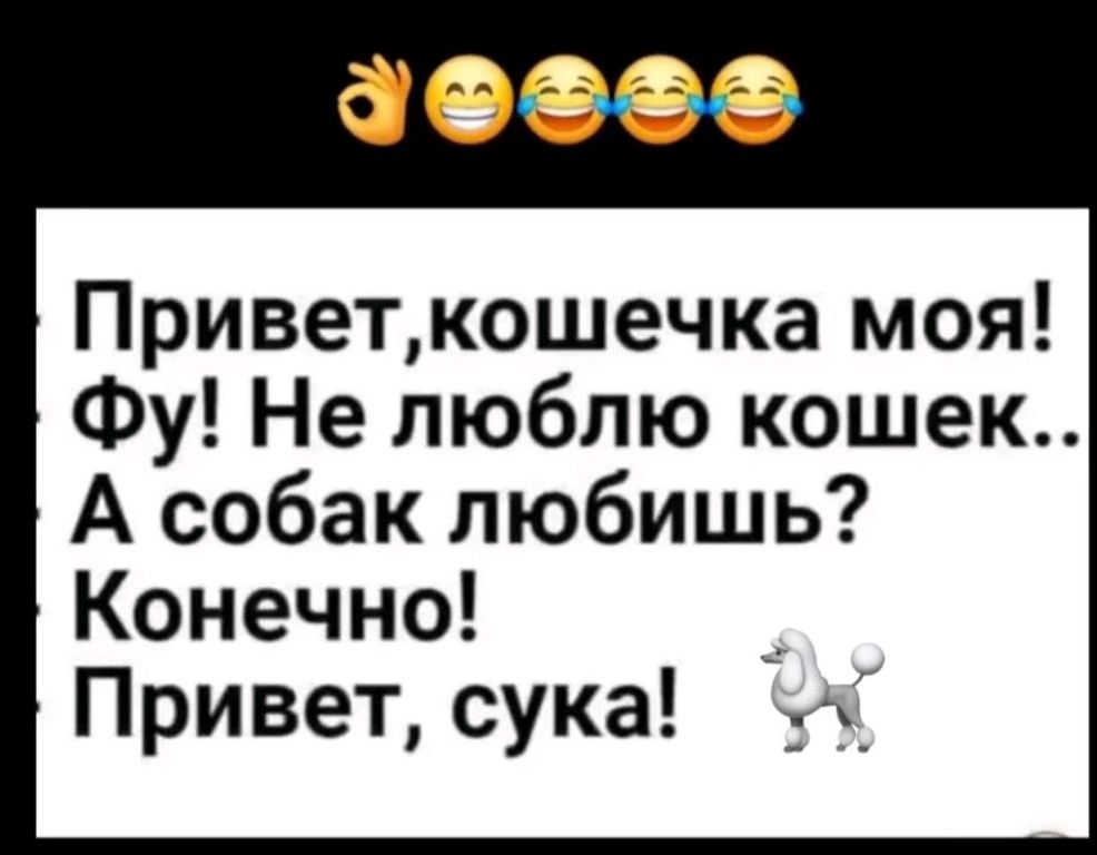 Приветкошечка моя Фу Не люблю кошек А собак любишь Конечно Привет сука