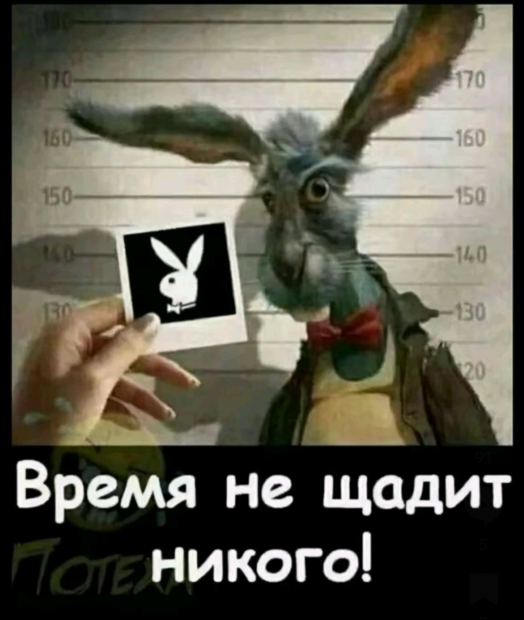 емя не щадит никого Вр