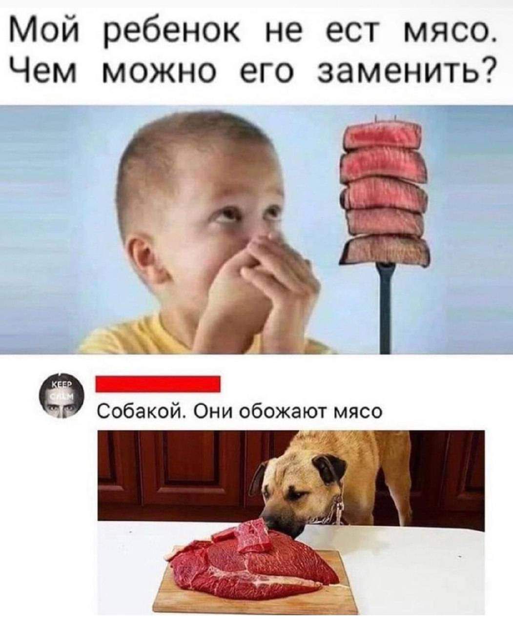 Мой ребенок не ест мясо Чем можно его заменить