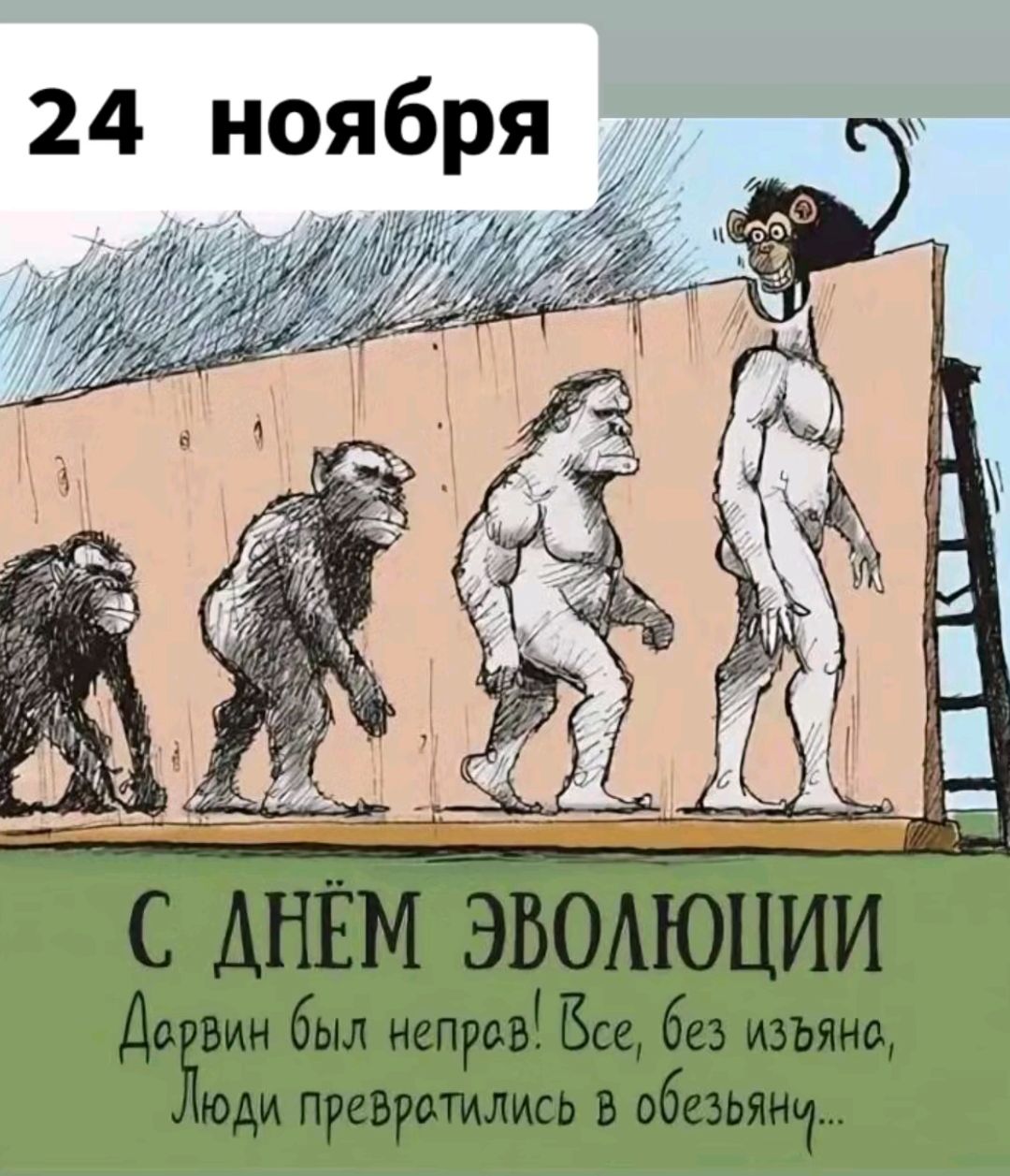 24 ноября Ъ сВысеооие Й С ДНЁМ ЭВОЛЮЦИИ Дорвин был непров бсе без изьянс йюди превротились В обезыянц