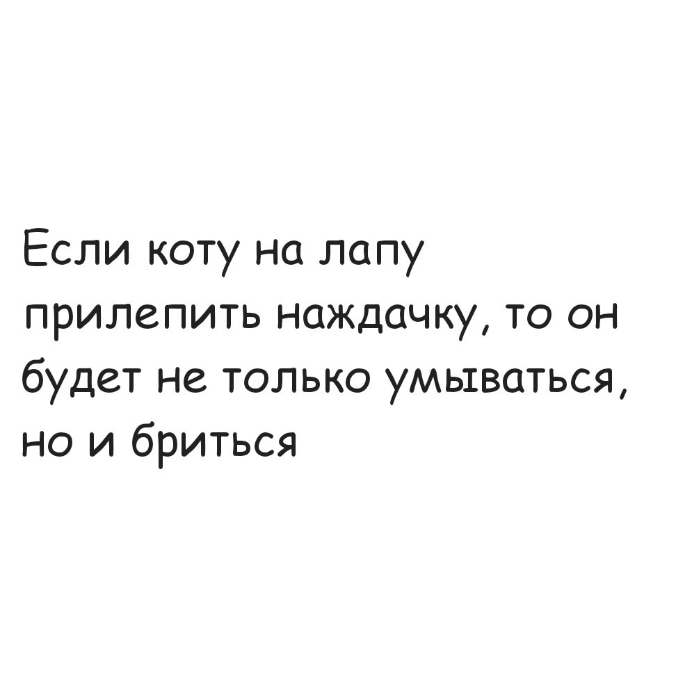 Если коту на лапу прилепить наждачку то он будет не только умываться но и бриться