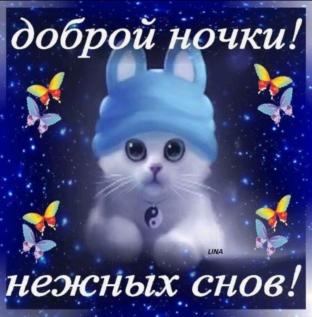 Ё нежных СНОБ