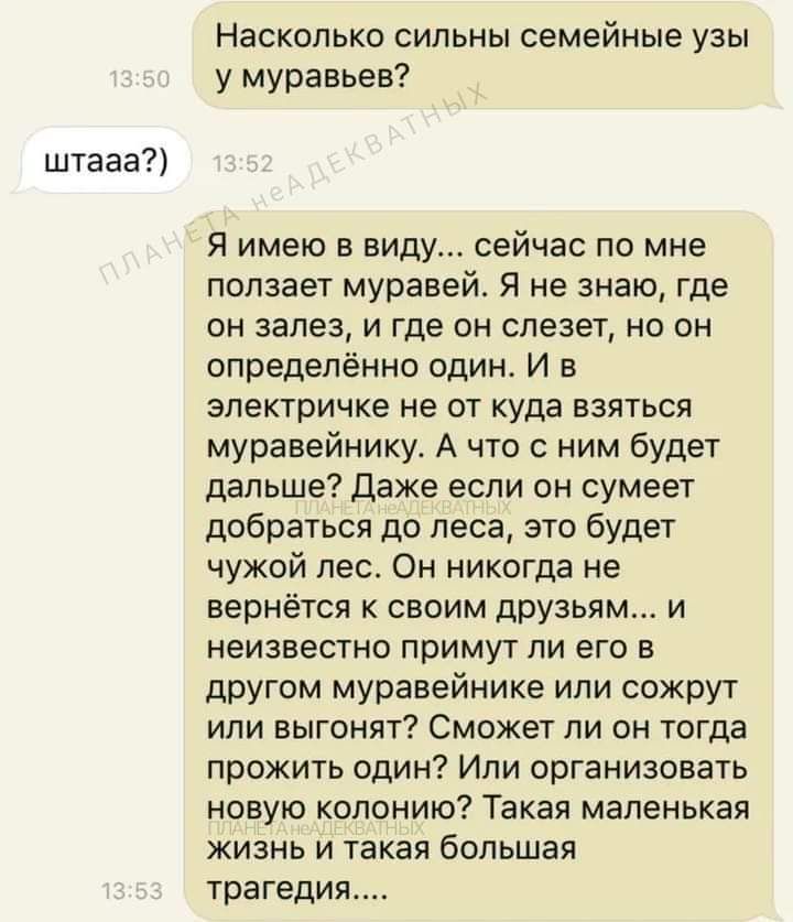 штааа Насколько сильны семейные узы у муравьев Я имею в виду сейчас по мне ползает муравей Я не знаю где он залез и где он слезет но он определённо один И в электричке не от куда взяться муравейнику А что с ним будет дальше Даже если он сумеет добраться до леса это будет чужой лес Он никогда не вернётся к своим друзьям и неизвестно примут ли его в 