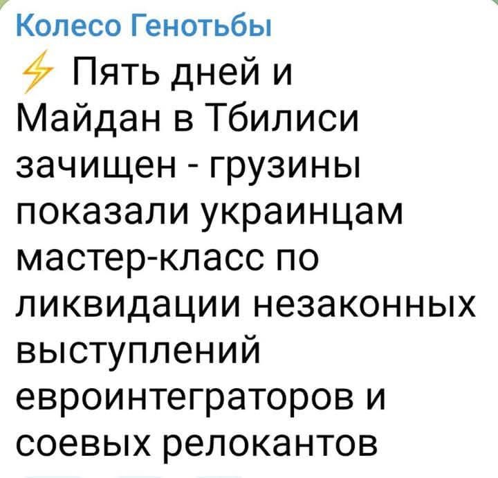 Колесо Генотьбы Пять дней и Майдан в Тбилиси зачищен грузины показали украинцам мастер класс по ликвидации незаконных выступлений евроинтеграторов и соевых релокантов