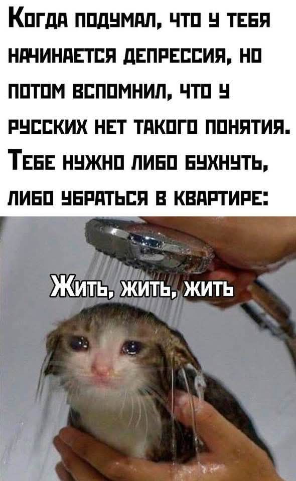 Когда подУмал ЧТо Ч ТЕБЯ НАЧИНАЕТСЯ ДЕПРЕССИЯ НО потом вспомнил что У РУССКИХ НЕТ ТАКОГО ПОНЯТИЯ ТЕБЕ НУЖНО ЛИБО БУХНУТЬ ЛИБО УБРАТЬСЯ В КВАРТИРЕ ЖИтЬ ЖИТЬ ЖИТЬ ы т