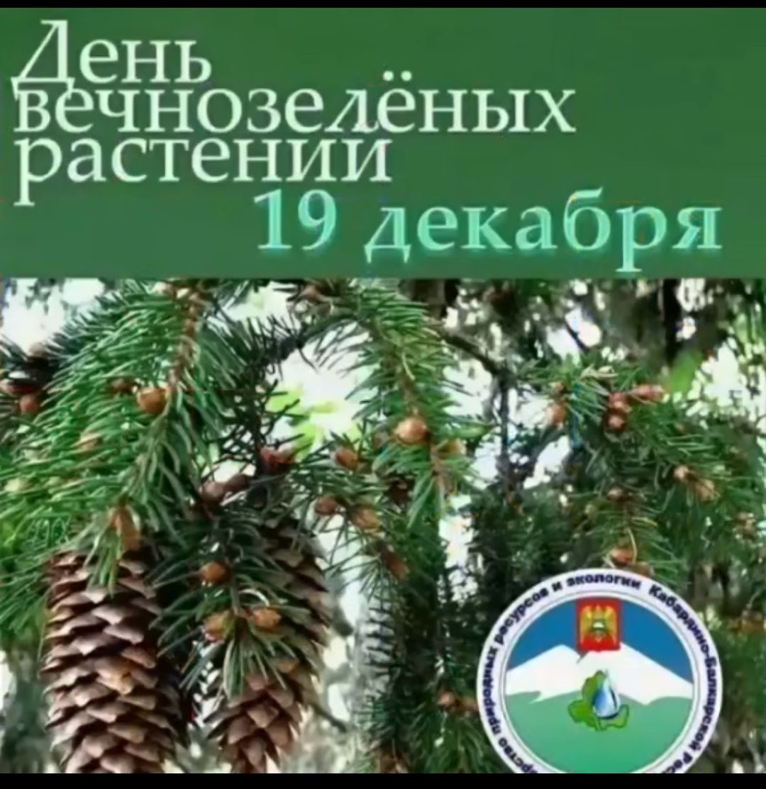 ень чнозелёных растении _ 19 декабря