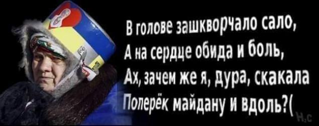 В голове зашкворчало сало Ана сердце обида и боль А зачем же я Дура скакала Полерёк майдану и Вдоль