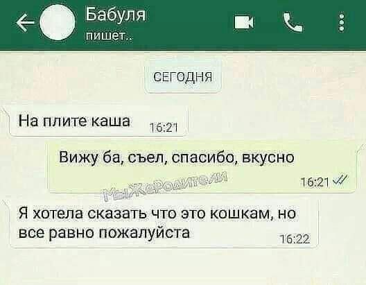 Бабуля пишет ССЕГОДНЯ На плите каша 521 Вижу ба съел спасибо вкусно две 1621 7 Я хотела сказать что это кошкам но все равно ПОЖЗПУЙСТЭ 1622