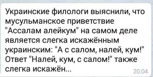 Украинские филологи выяснили что мусульманское приветствие Ассалам алейкум на самом деле является слегка искажённым украинским А с салом налей кум Ответ Налей кум с салом также слегка искажён