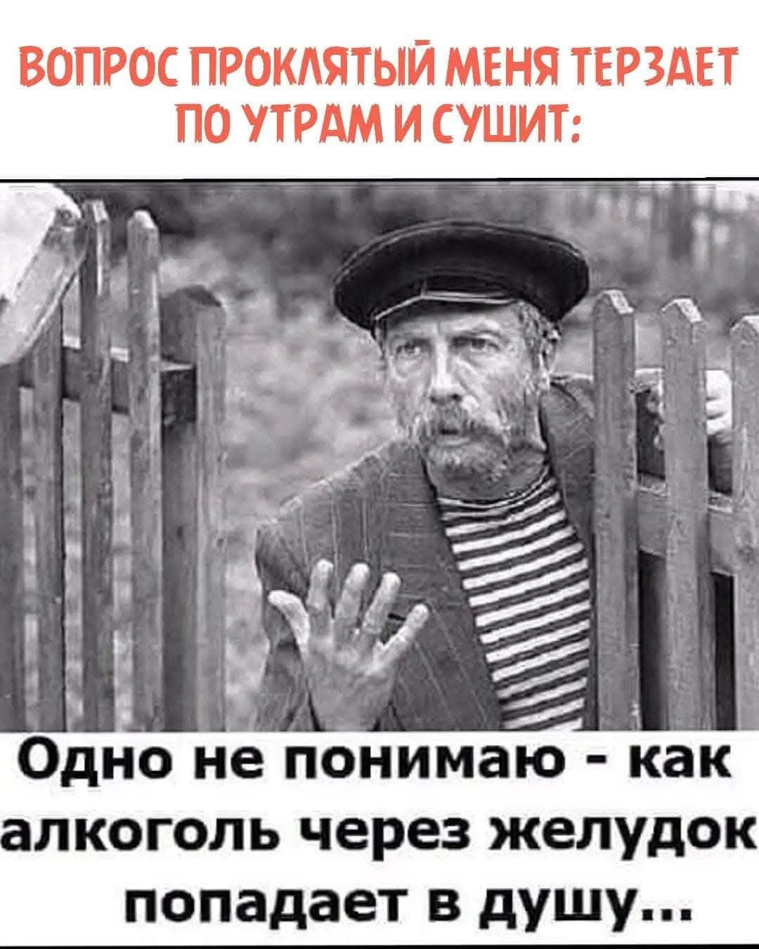 ВОПРОС ПРОКЛЯТЫЙ МЕНЯ ТЕРЗДЕТ ПО УТРАМ И СУШИ Е 7 Одно не понимаю как алкоголь через желудок попадает в дущу