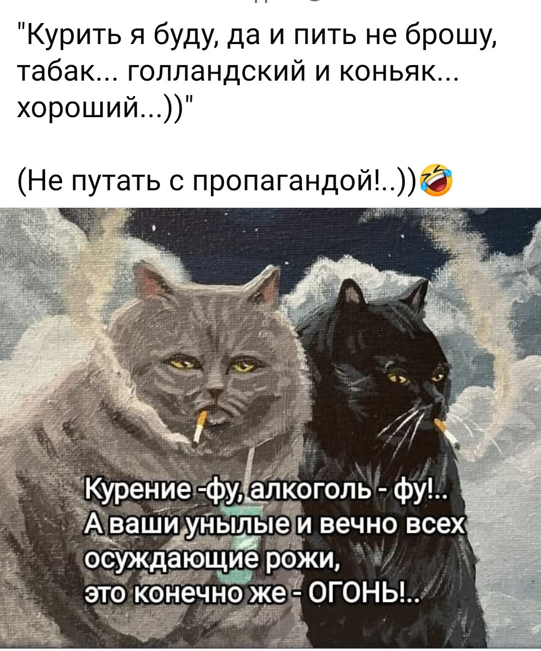 Курить я буду да и пить не брошу табак голландский и коньяк хороший А ваЩуіХньщые и вечно всех осуждающие рожи ЭТО конечно жет ОГОНЫ