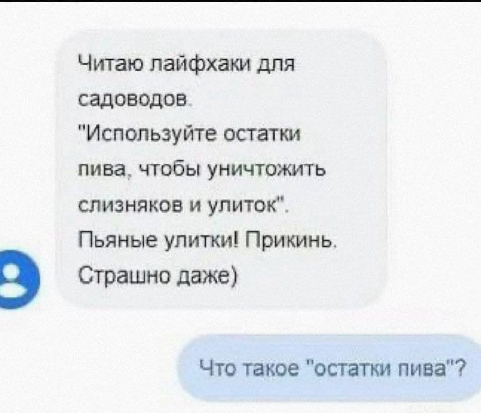 Читаю лайфхаки для садоводов Используйте остатки пива чтобы уничтожить слизняков и улиток Пьяные улитки Прикинь Страшно даже Что такое остатки пива