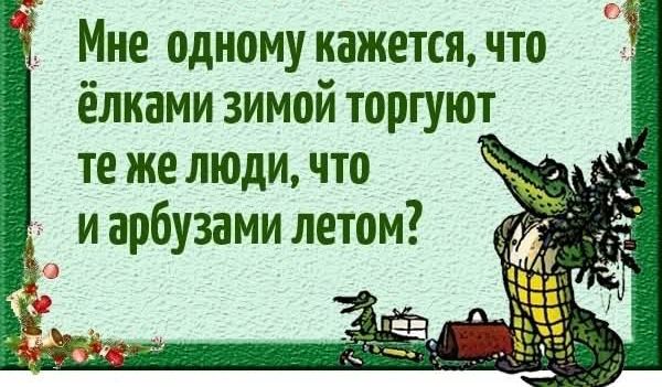 Мне одному кажется что ёлками зимой торгуют те же люди что иарбузами летом