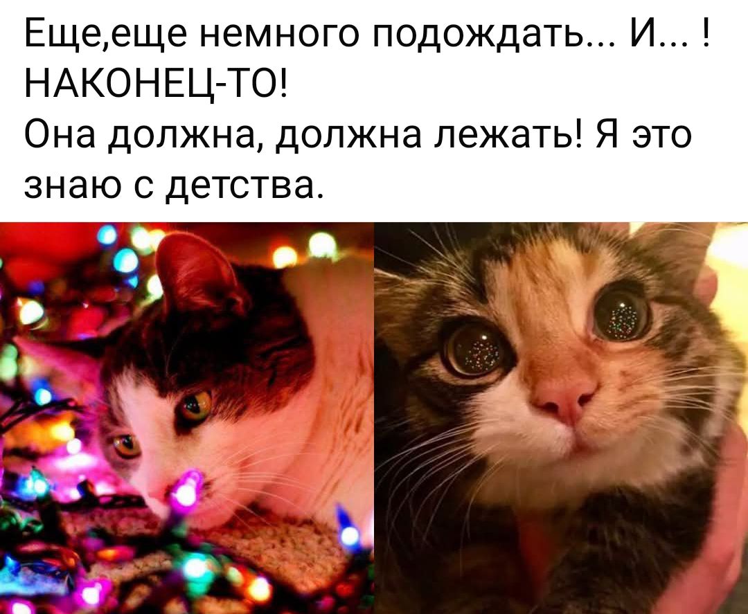 Ещееще немного подождать И НАКОНЕЦ ТО Она должна должна лежать Я это знаю с детства