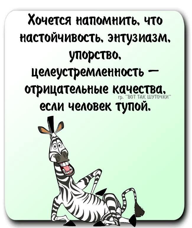 Хочется напомнить что настойчивость энтузиазм упорство целеустремленность отрицательные качества если человек тупой