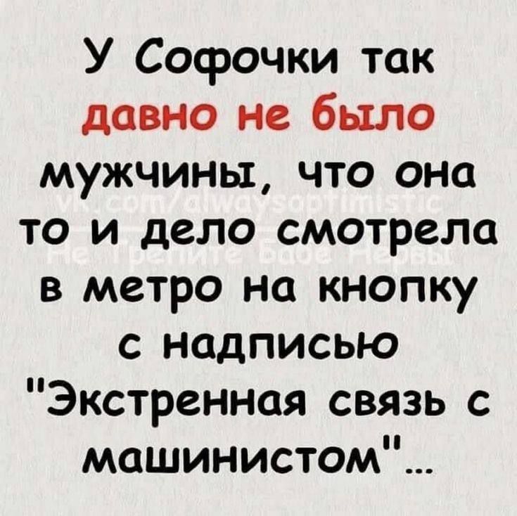 У Софочки так давно не было мужчины что она то и дело смотрела в метро на кнопку с надписью Экстренная связь с машинистом