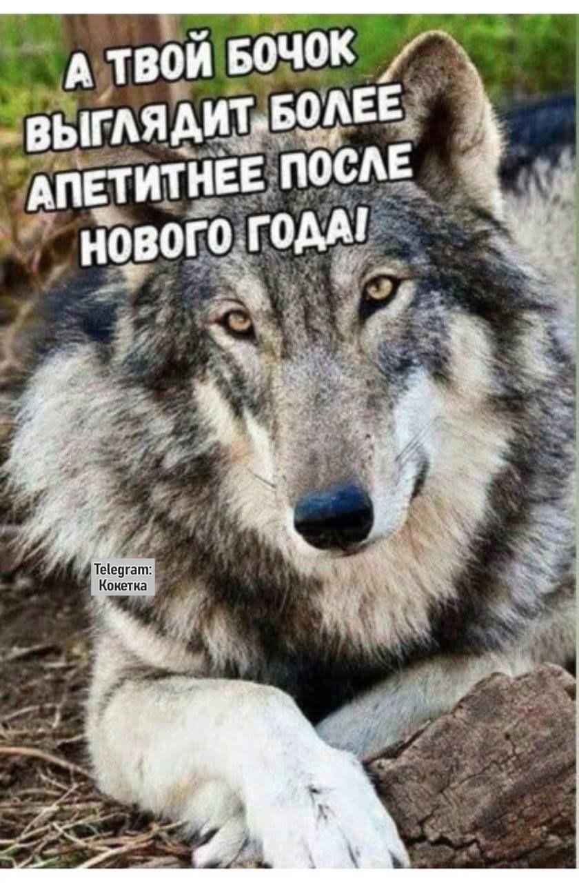 _ АЛТВОЙ БОЧОК_ выгАЯАИТ БОЛЕЕ Е