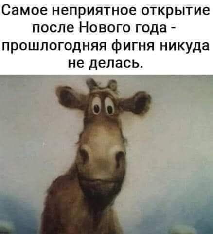 Самое неприятное открытие после Нового года прошлогодняя фигня никуда не делась