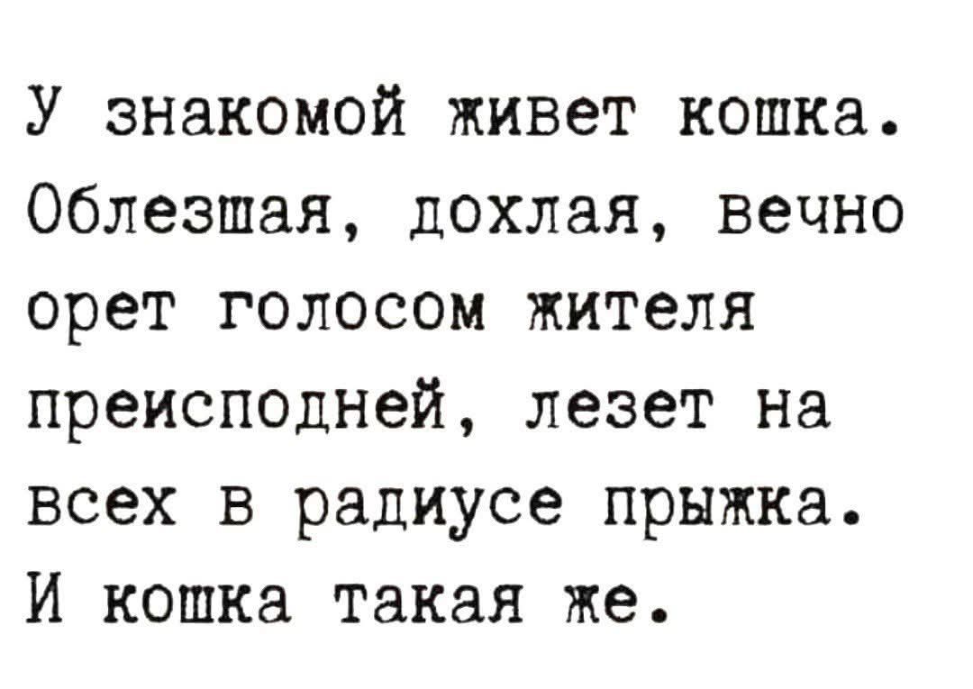 У знакомой живет кошка Облезшая дохлая вечно орет голосом жителя преисподней лезет на всех в радиусе прыжка И кошка такая же