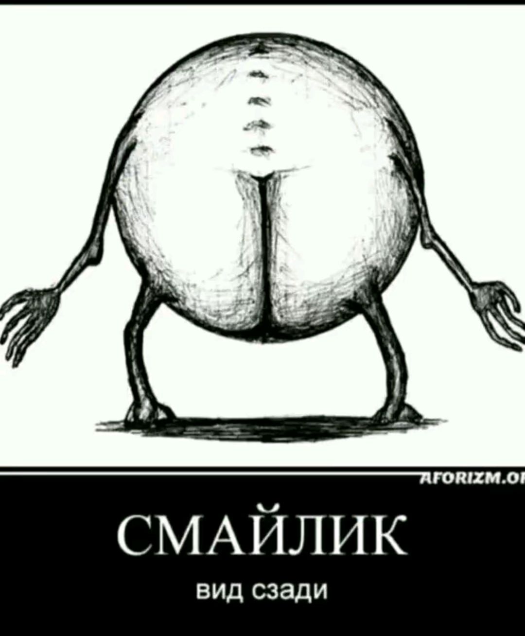 СМАЙЛИК вид сзади