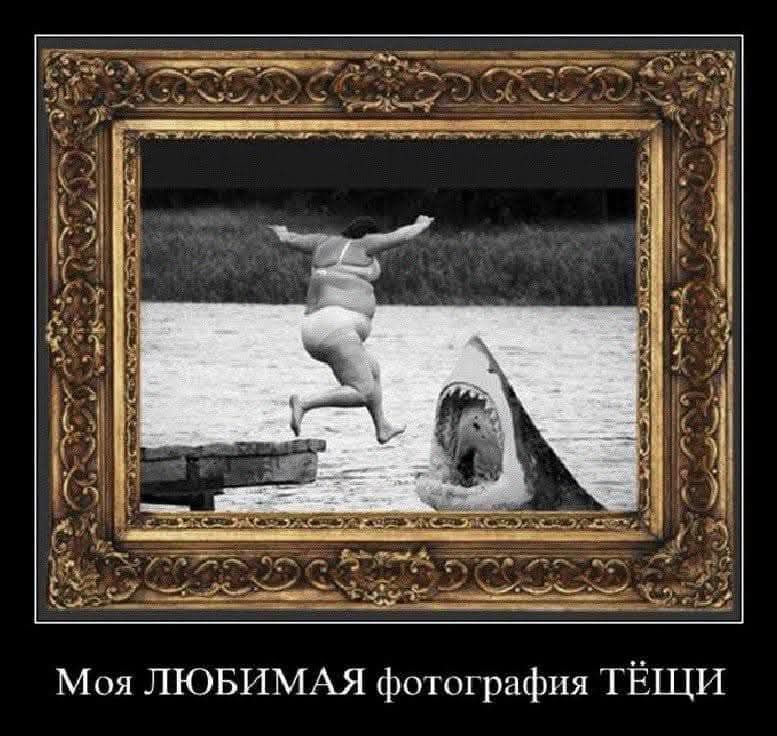 Моя ЛЮБИМАЯ фотография ТЁЩИ