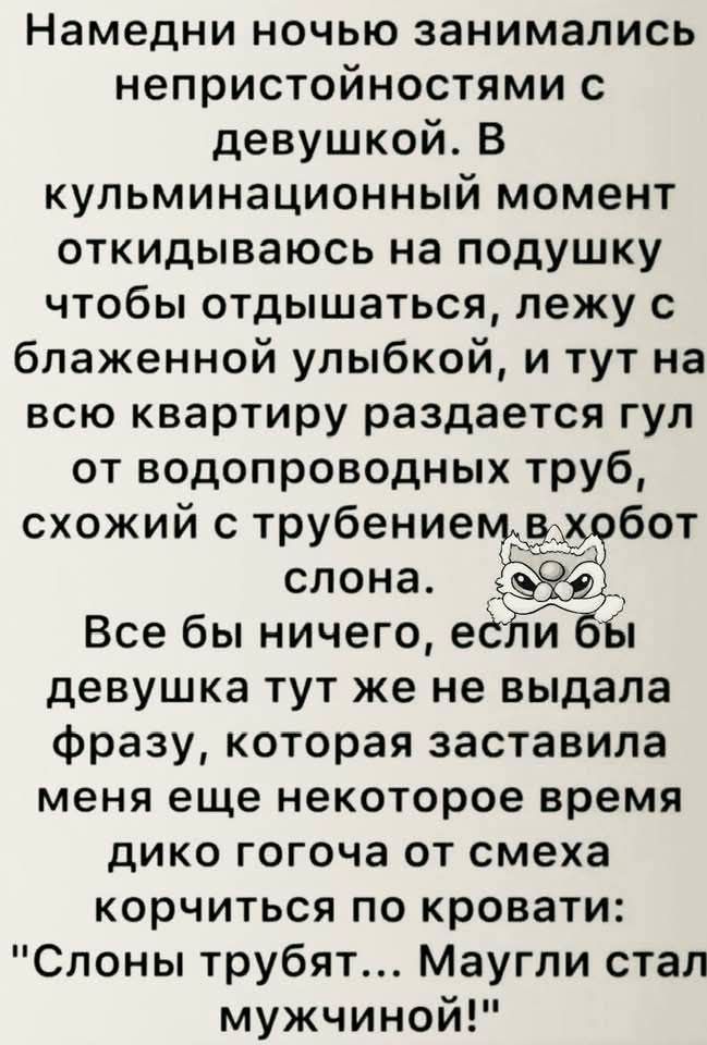 Намедни ночью занимались непристойностями с девушкой В кульминационный момент откидываюсь на подушку чтобы отдышаться лежу с блаженной улыбкой и тут на всю квартиру раздается гул от водопроводных труб схожий с трубениемвхобот слона Все бы ничего если бы девушка тут же не выдала фразу которая заставила меня еще некоторое время дико гогоча от смеха к