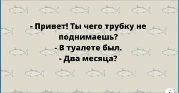 Привет Ты чего трубку не поднимаешь В туалете был Два месяца