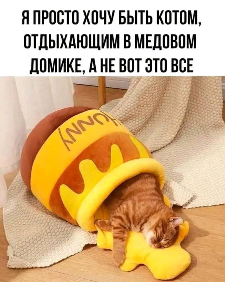 Я ПРОСТО ХОЧУ БЫТЬ КОТОМ ОТДЫХАЮЩИМ В МЕДОВОМ ДОМИКЕ А НЕ ВОТ ЭТО ВСЕ В