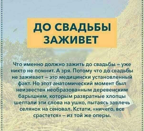 Что именно должно зажить до свадьбы уже никто не помнит А зря Потому что до свадьбы не заживает это медицински установленный факт Но этот анатомический момент был неизвестен необразованным деревенским барышням которым развратные хлопцы шептали эти слова на ушко пытаясь завлечь селянок на сеновал Кстати ничего все срастется из той же оперы