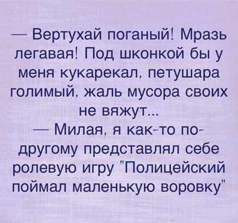 Вертухай поганый Мразь легавая Под шконкой бы у меня кукарекал петушара голимый жаль мусора своих не вяжут Милая я как то по другому представлял себе ролевую игру Полицейский поймал маленькую воровку