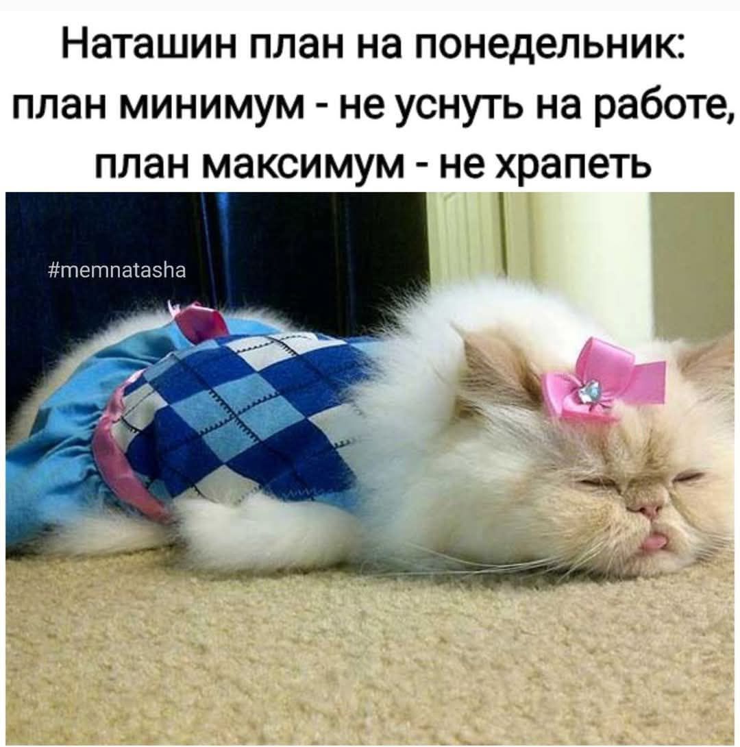 Наташин план на понедельник план минимум не уснуть на работе план максимум не храпеть