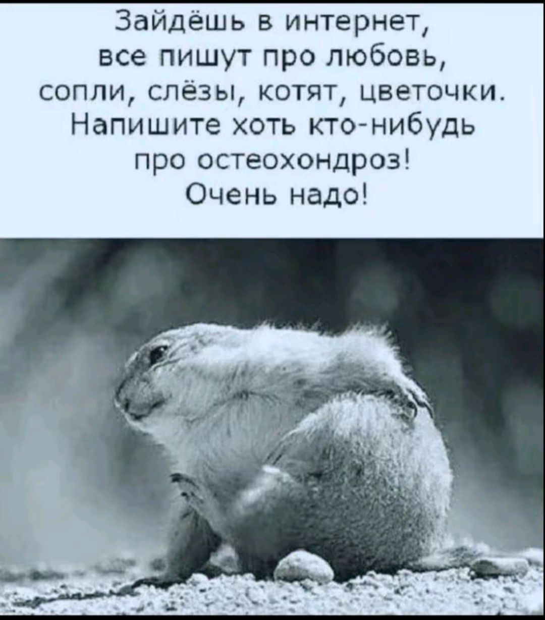 Зайдёшь в интернет все пишут про любовь сопли слёзы котят цветочки Напишите хоть кто нибудь про остеохондроз Очень надо