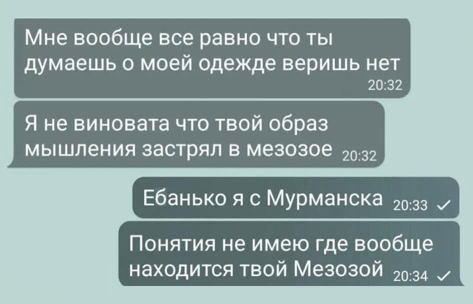 Мне вообще все равно что ты думаешь о моей одежде веришь нет 2032 Я не виновата что твой образ мышления застрял в мезозое 2032 Ебанько я с Мурманска 033 Понятия не имею где вообще находится твой Мезозой о4