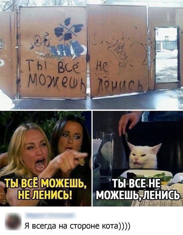 ИР ТЫ ВСЕ НЕ МОЖЕШЬЕП Н Я всегда на стороне кота