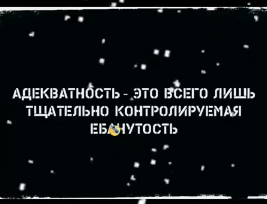 АДЕКВАТНОСТЬ ЭТО ВЕГО ЛИШЬ ТЩАТЕЛЬНО КОНТРОЛИРУЕМАЯ ы ЕБАНУТОСТЬ Г ееа ееа