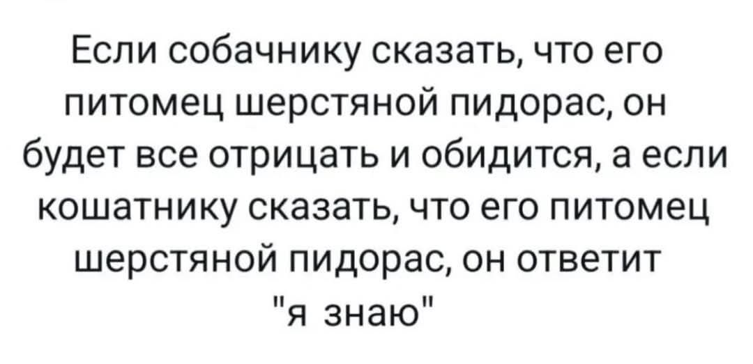 Если собачнику сказать что его питомец шерстяной пидорас он будет все отрицать и обидится а если кошатнику сказать что его питомец шерстяной пидорас он ответит я знаю