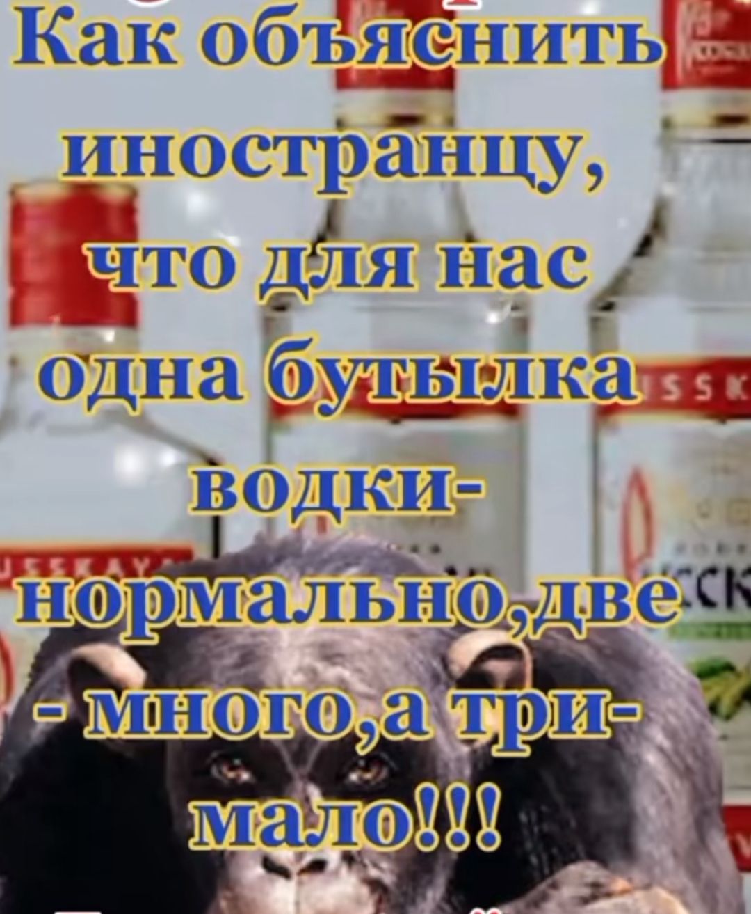 Как объясінить иностранцу ГО ДЁПЯ нас_ одна бутылка ы Ь ъ нормальноДве К о За