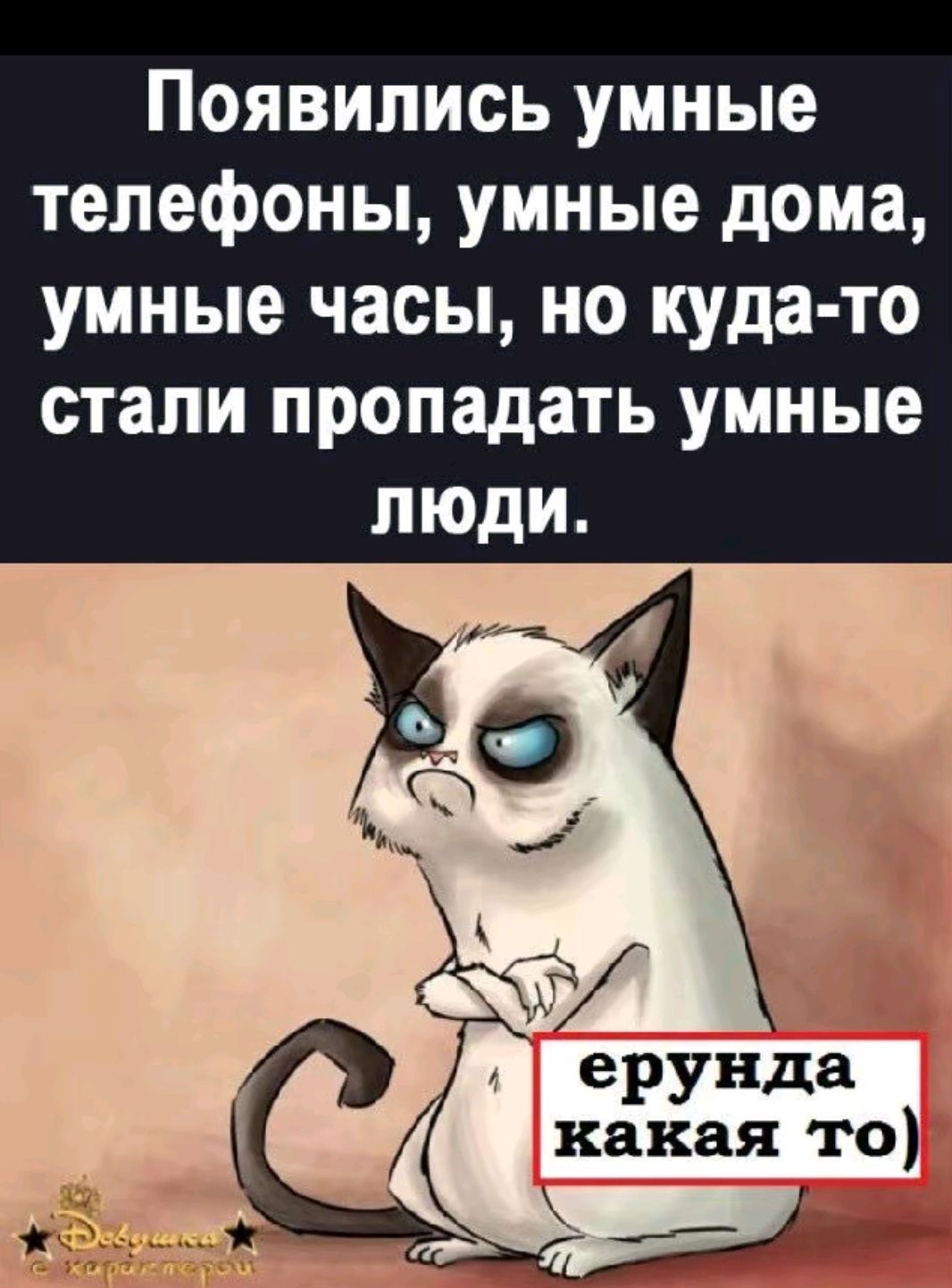 Появились умные телефоны умные дома умные часы но куда то стали пропадать умные люди ерунда какая то ж 48