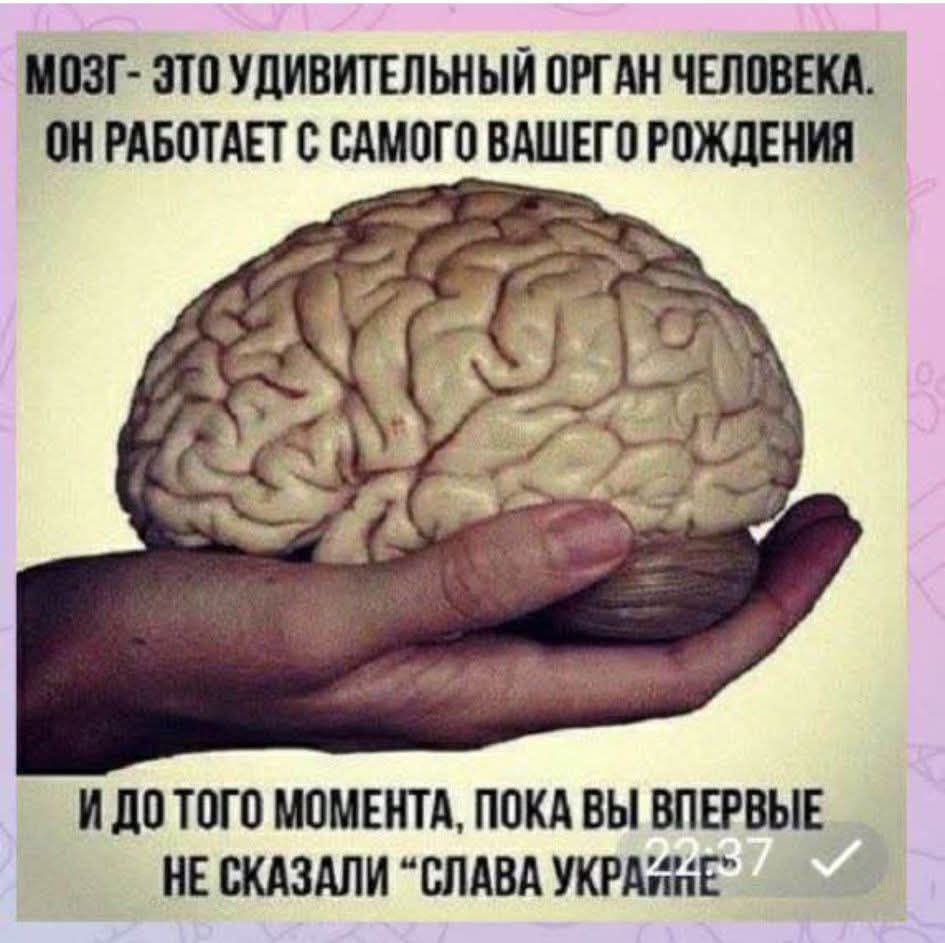 МОЗГ ЭТО УДИВИТЕЛЬНЫЙ ОРГАН ЧЕЛОВЕКА ОН РАБОТАЕТ С САМОГО ВАШЕГО РОЖДЕНИЯ й ИДО ТОГО МОМЕНТА ПОКА ВЫ ВПЕРВЫЕ НЕ СКАЗАЛИ СЛАВА УКРАЖиЕ