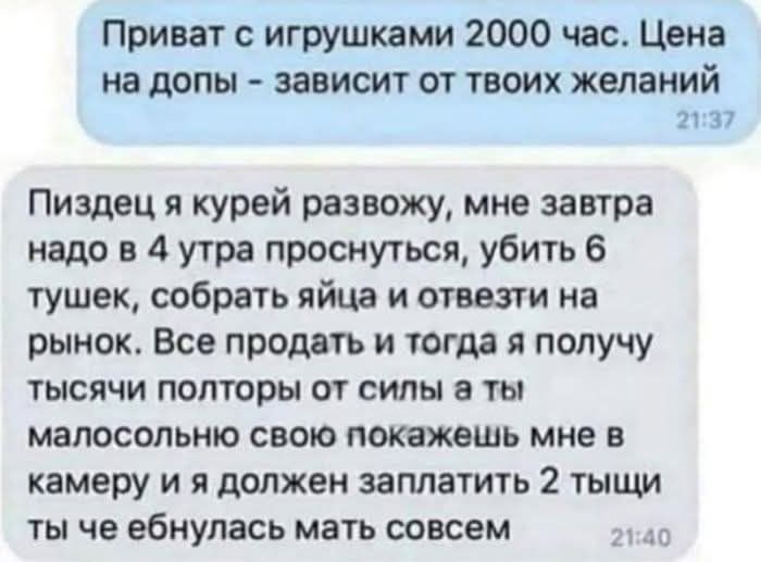 Приват с игрушками 2000 час Цена на допы зависит от твоих желаний 2137 Пиздец я курей развожу мне завтра надо в 4 утра проснуться убить 6 тушек собрать яйца и отвезти на рынок Все продать и тогда я получу тысячи полторы от силы а ты малосольню свою покажешь мне в камеру и я должен заплатить 2 тыщи ты че ебнупась мать совсем