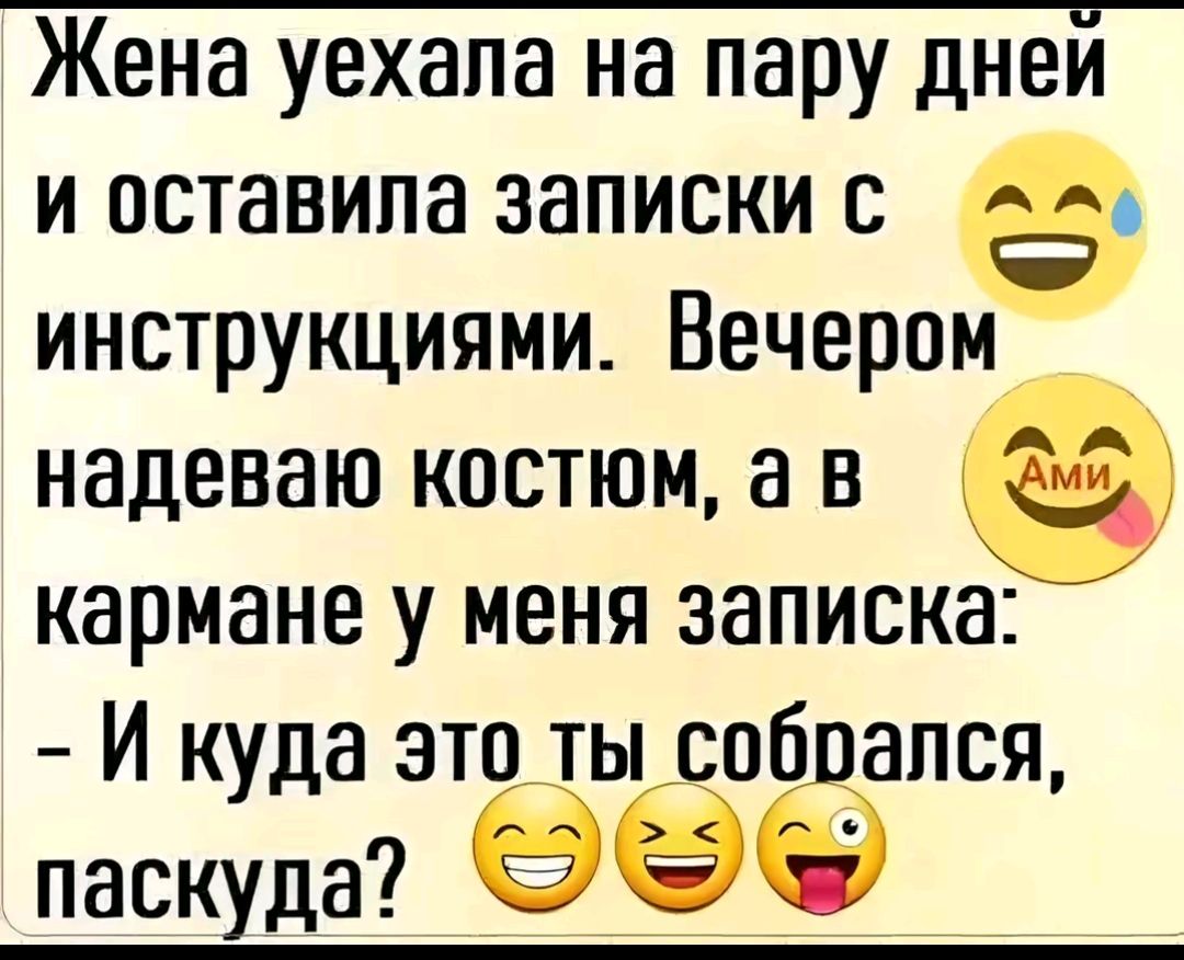 Жена уехала на пару дней и оставила записки с 5 инструкциями Вечером надеваю костюм ав кармане у меня записка Й куда это ты собрался паскуда