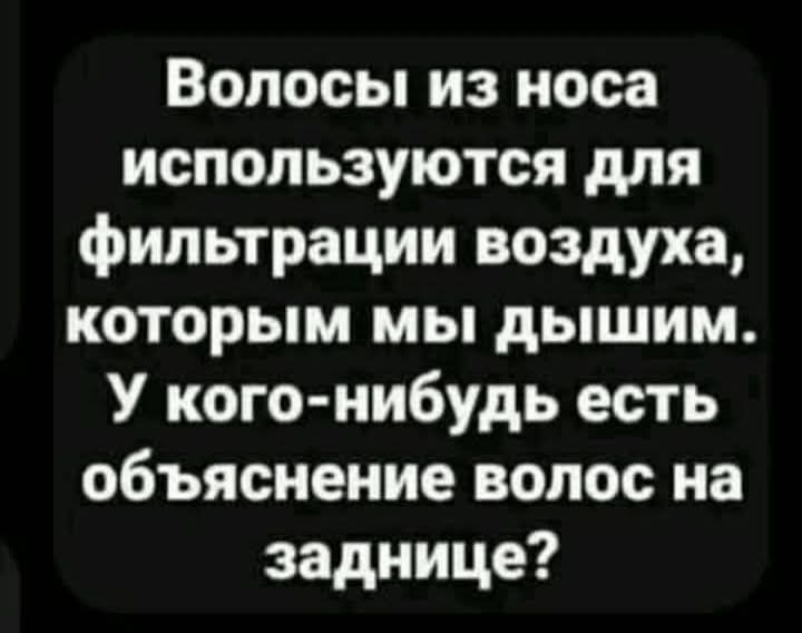 Волосы из носа используются для фильтрации воздуха которым мы дышим У кого нибудь есть объяснение волос на заднице