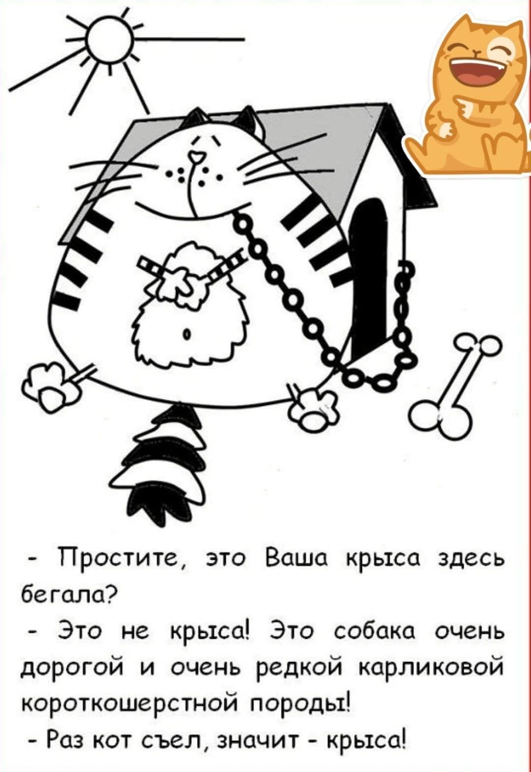 Простите это Ваша крыса здесь бегала Это не крыса Это собака очень дорогой и очень редкой карликовой короткошерстной породы Раз кот съел значит крыса