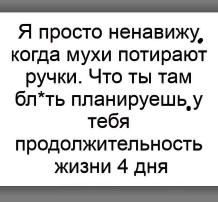 Я просто ненавижу, когда мухи потирают ручки. Что ты там блть планируешь,у тебя продолжительность жизни 4 дня