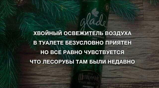 ХВОЙНЫЙ ОСВЕЖИТЕЛЬ ВОЗДУХА В ТУАЛЕТЕ БЕЗУСЛОВНО ПРИЯТЕН НО ВСЕ РАВНО ЧУВСТВУЕТСЯ ЧТО ЛЕСОРУБЫ ТАМ БЫЛИ НЕДАВНО