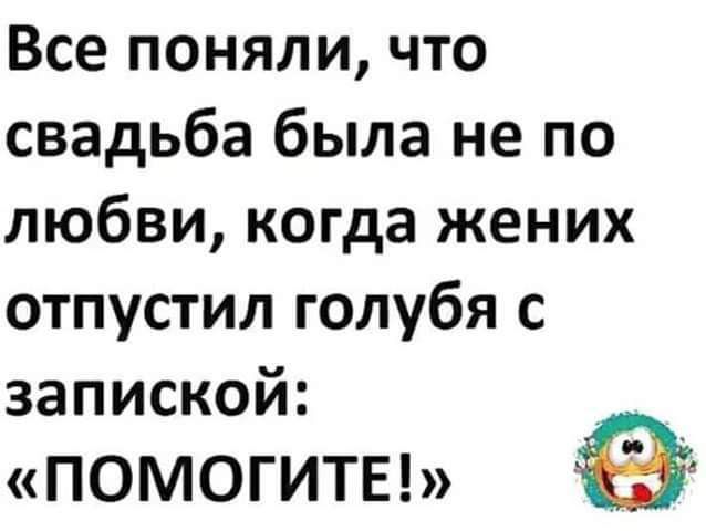 Все поняли, что свадьба была не по любви, когда жених отпустил голубя с запиской: «ПОМOGRITE!»