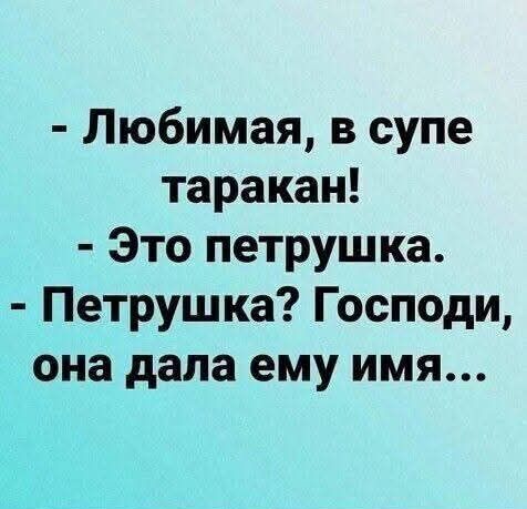 - Любимая, в супе таракан! - Это петрушка. - Петрушка? Господи, она дала ему имя...