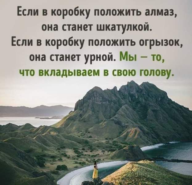 Если в коробку положить алмаз, она станет шкатулкой. Если в коробку положить огрызок, она станет урной. Мы – то, что вкладываем в свою голову.