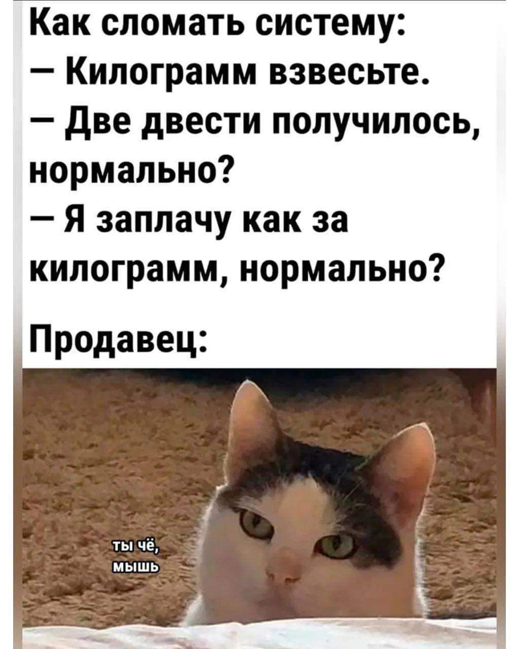 Как сломать систему:
— Килограмм взвесьте.
— Две двести получилось, нормально?
— Я заплачу как за килограмм, нормально?
Продавец:
ты чё, мышь